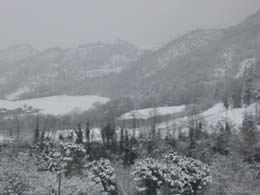 foto neve di gennaio 2005 Marradi